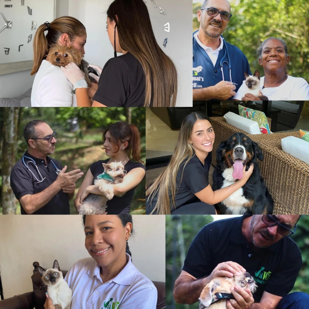 Plan veterinario personalizado para perros y gatos