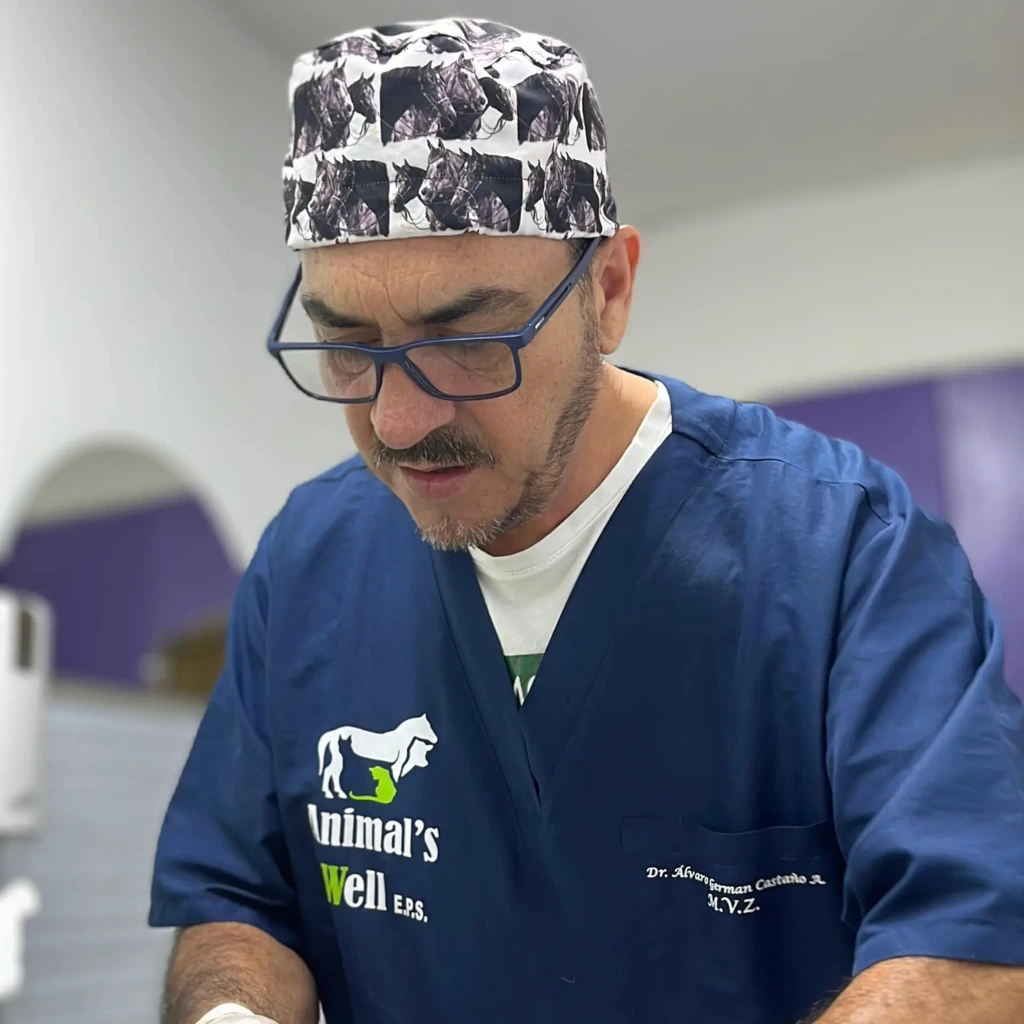 Acceso coordinado a especialistas veterinarios